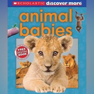 Animal Babies | by by Andrea Pinnington and Tory Gordon-Harris